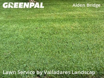 Grass Cutin Spring,77382,Lawn Care Service by Valladares Landscap, work completed in Jun , 2026