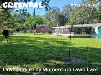 Lawn Cut nearby Wesley Chapel, FL, 