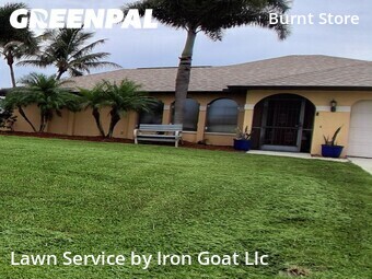 Lawn Cut nearby Cape Coral, FL, 