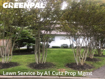 Yard Mowing nearby Centreville, DE, 