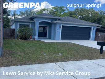 Lawn Cut nearby Tampa, FL, 