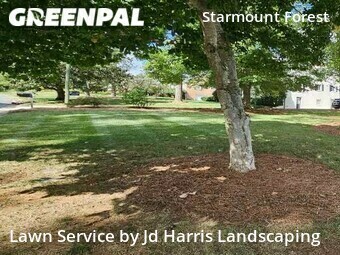 Grass Cut nearby Greensboro, NC, 