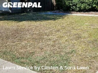 Lawn Care Service nearby Converse, TX, 