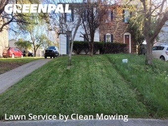 Grass Cut nearby Lexington, KY, 