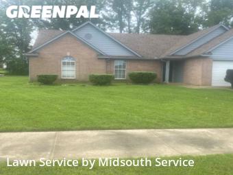 Lawn Cut nearby Olive Branch, MS, 