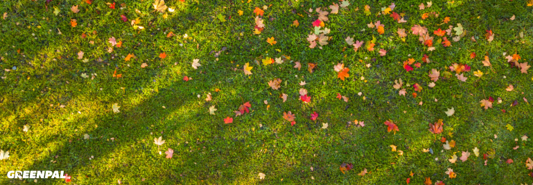 The Best Bagger Attachments for Wright Mowers: What Pros Really Use for Leaf Cleanup