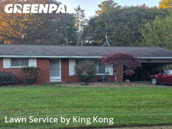 Lawn Cut nearby Greece, NY, 