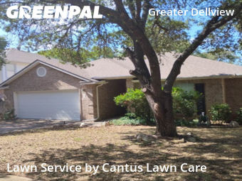 Grass Cut nearby San Antonio, TX, 