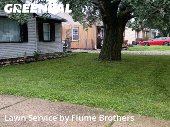 Grass Cut nearby Clinton Township, MI, 