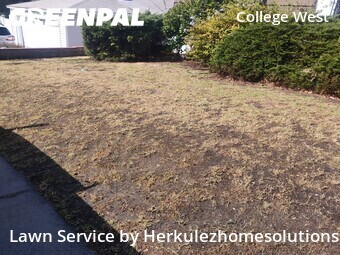 Yard Cutting nearby San Diego, CA, 