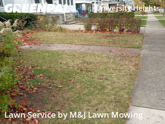 Lawn Care nearby Buffalo, NY, 