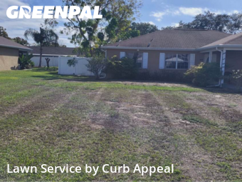 Lawn Management in Spring Hill, 34609, Yard Cutting by Curb Appeal , work completed in Dec , 2025