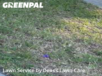 Lawn Cut nearby North Miami, FL, 