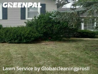 Lawn Mow nearby Matteson, IL, 