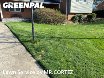 Yard Cutting nearby Silver Spring, MD, 