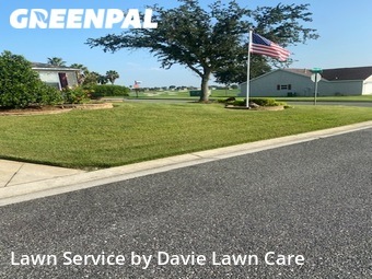 Grass Cut nearby The Villages, FL, 
