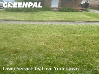 Grass Cutting nearby Cheektowaga, NY, 