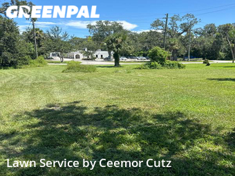 Lawn Cut nearby Daytona Beach, FL, 