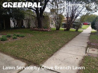 Lawn Cut nearby Fort Worth, TX, 