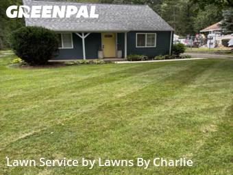 Lawn Cutting nearby Jackson, MI, 