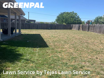 Lawn Mow nearby Round Rock, TX, 
