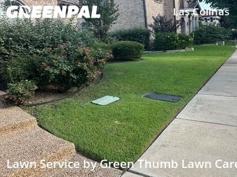 Lawn Mow nearby Irving, TX, 