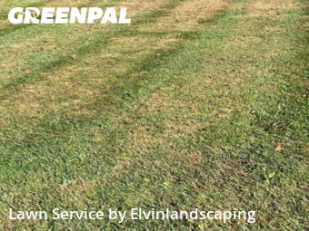 Yard Upkeep in Owings Mills, 21117, Yard Care by Elvinlandscaping, work completed in Nov , 2025