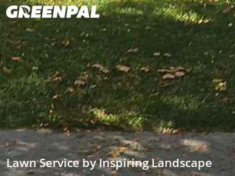 Weed Trimming in Centennial, 80015, Yard Care Services by Inspiring Landscape, work completed in Nov , 2025