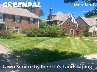 Lawn Maintenance nearby Shaker Heights, OH, 