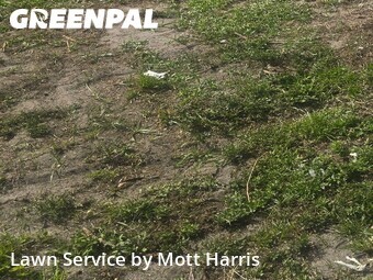 Grass Cut nearby Margate, FL, 