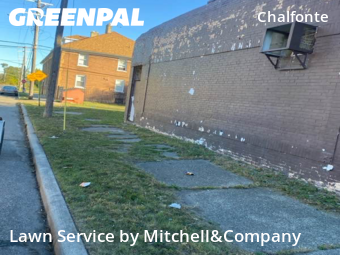 Grass Cutting in Detroit, 48238, Lawn Work by Mitchell&Company, work completed in Nov , 2025