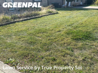 Grass Cut nearby Greenwood, IN, 