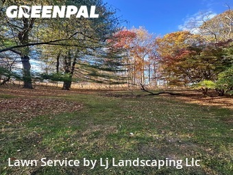 Lawn Care nearby Media, DE, 