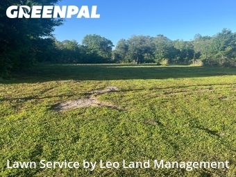 Lawn Cut nearby Lakeland, FL, 