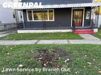 Yard Mowing nearby Buffalo, NY, 