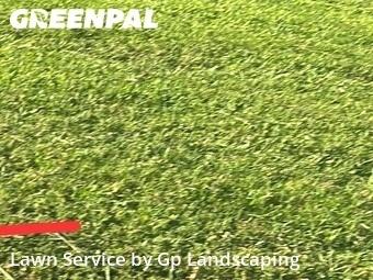 Lawn Maintenance nearby Gastonia, NC, 