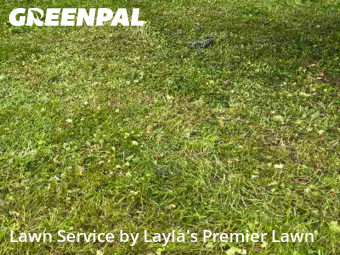 Lawn Maintenance nearby Mansfield, OH, 
