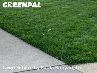 Lawn Cut nearby Papillion, NE, 