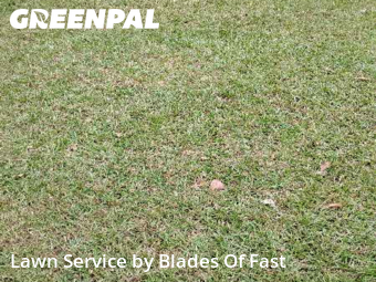 Lawn Care nearby Atlanta, GA, 