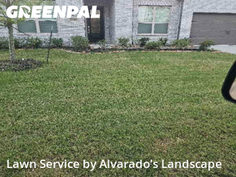 Lawn Carein Porter,77365,Lawn Service by Alvarado's Landscape, work completed in Nov , 2025