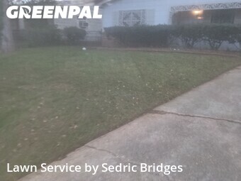 Lawn mowed in Jackson, 39213