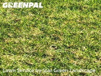 Lawn Mow nearby Carlsbad, CA, 