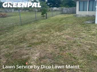 Lawn Cut nearby Tampa, FL, 