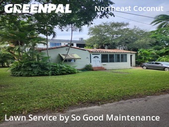 Lawn Cutting nearby Miami, FL, 