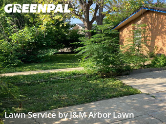 Lawn Mow nearby Georgetown, TX, 