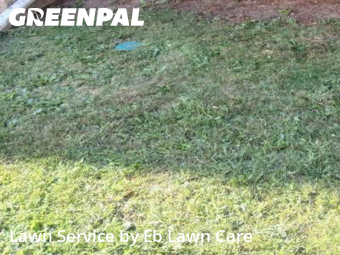 Lawn Mow nearby Bellwood, IL, 