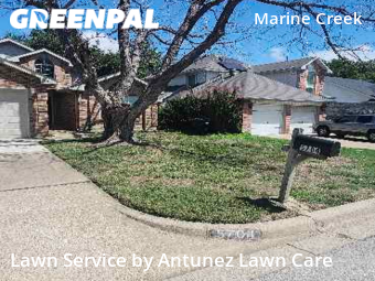 Yard Cutting nearby Fort Worth, TX, 