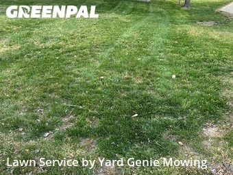 Lawn Mow nearby Pineville, NC, 
