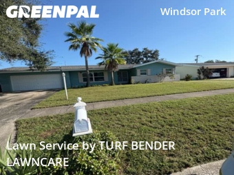 Grass Cut nearby Clearwater, FL, 