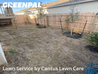 Landscaping Companies In San Antonio,78245,Landscaping Maintenance by Cantus Lawn Care, work completed in Feb , 2026